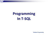 5. 01 Programming in T-SQL (1).pdf